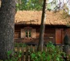 Drewniana chata kryta słomianym dachem. Na pierwszym planie drzewa i płot.