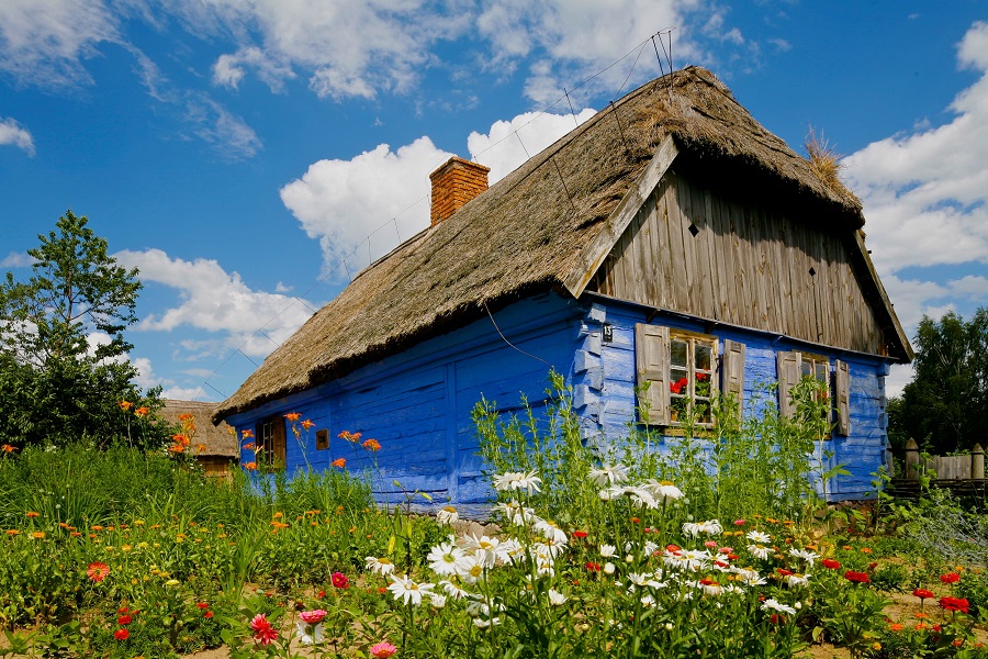Chata w skansenie. Ściany domu są pomalowane na niebiesko. Dach pokryty jest strzechą. Przed domem kwietny ogródek - rosną maki, rumianki, nagietki.